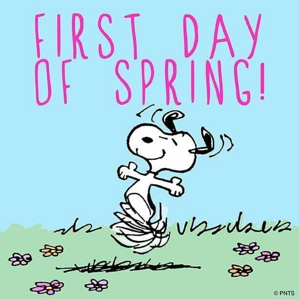 Life Love Coffee on Twitter  Snoopy quotes Spring quotes First day of  spring