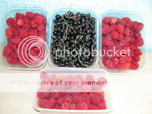 http://i27.photobucket.com/albums/c186/DavidKnapper/DSCN0336.jpg