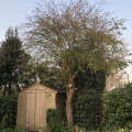 Fossbeck