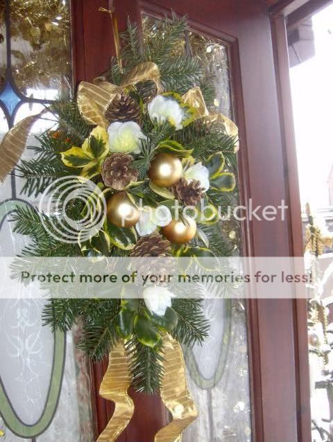 http://i50.photobucket.com/albums/f350/streptocarpus/arrangements004-1.jpg
