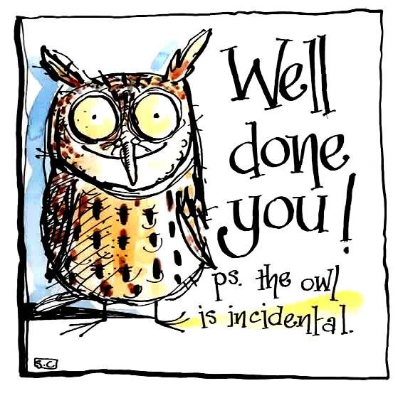 Owl well done cards for all the family greetings celebration  congratulations