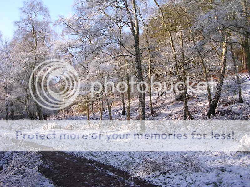 http://i27.photobucket.com/albums/c186/DavidKnapper/Winter%20Wonderland/DSCN0167.jpg
