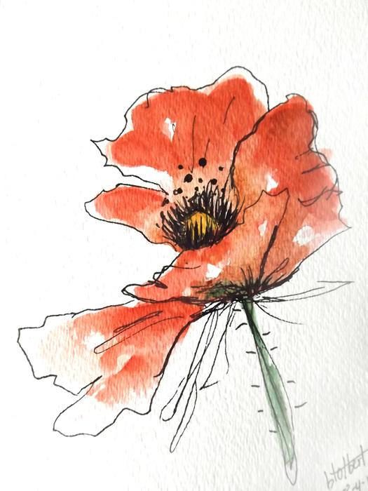 Original artwork of a red poppy rendered in pen ink and watercolor It is  titled Red Blowing Watercolor  Watercolor poppies Hand painting art  Poppy flower art