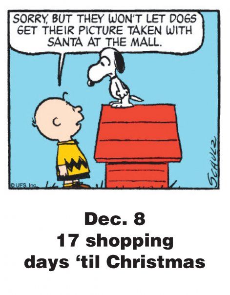 Dec 8 - This is a classic countdown panel from 2009  Snoopy christmas  Snoopy love Charlie brown and snoopy