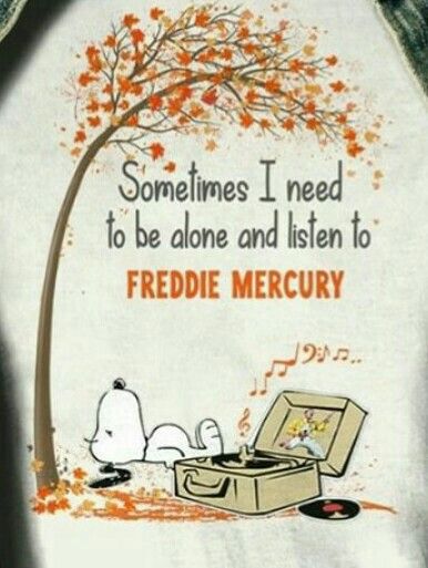 Pin on Dear Freddie