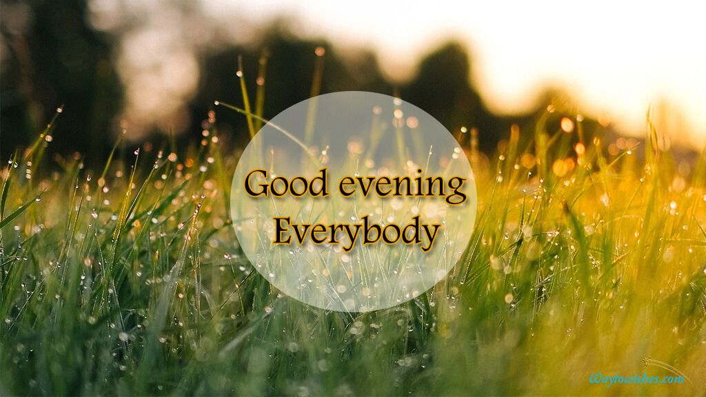 Good Evening Everybody  Good evening Good evening sms A day in life