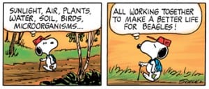 PeanutsNaturally - Charles M Schulz Museum