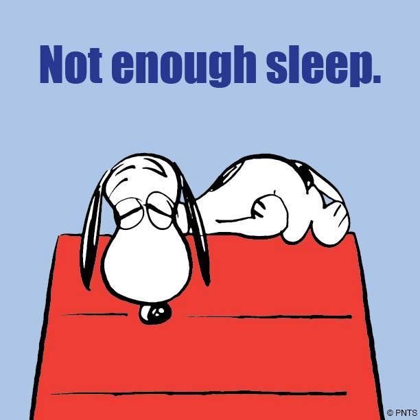 Tired Snoopy  Citazioni divertenti Citazioni umoristiche Citazioni  scherzose