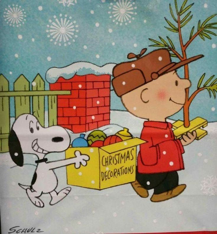Pin de Wendy Crook em PEANUTS  Snoopy Fotos do snoopy Natal snoopy