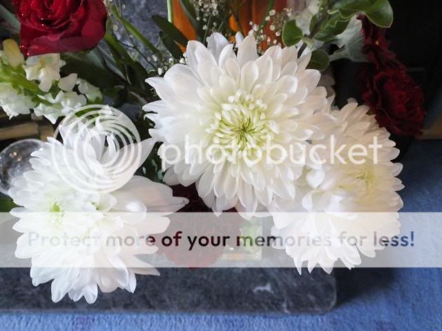 http://i27.photobucket.com/albums/c186/DavidKnapper/007_zps10ede463.jpg