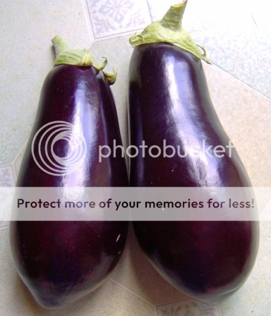 http://i1131.photobucket.com/albums/m551/lilylouise1/aubergines039.jpg