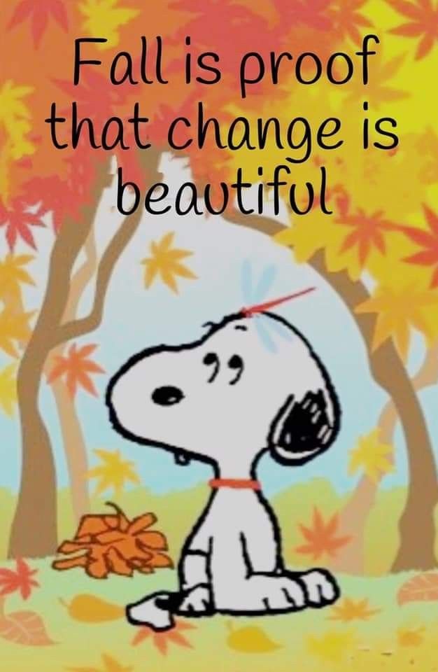 Autumn   Snoopy quotes Charlie brown and snoopy Snoopy love