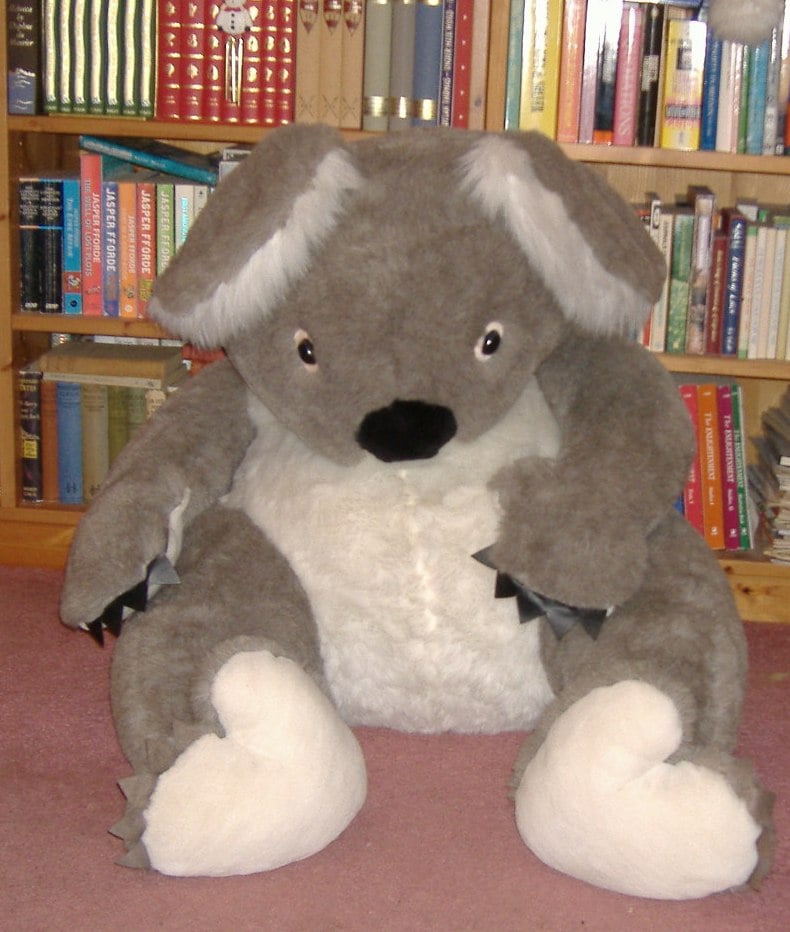 Koalagirl