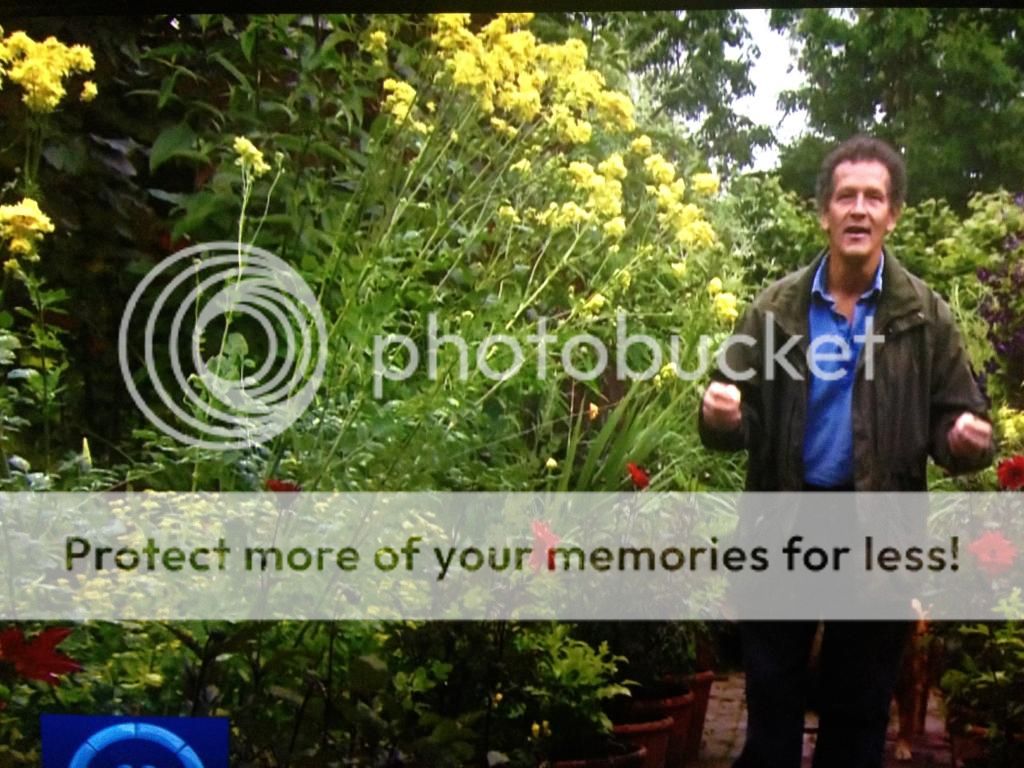 http://i232.photobucket.com/albums/ee192/thebear843/Garden/IMG_6277_zps3854cd97.jpg