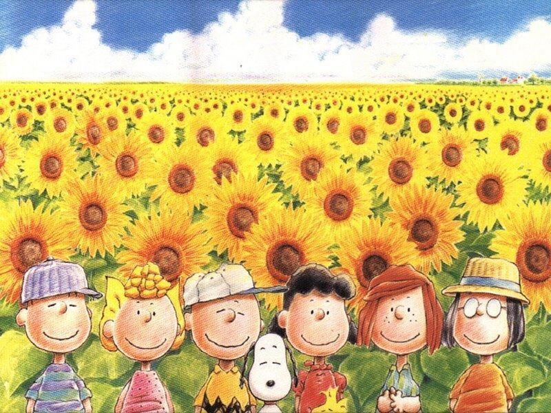 Peanuts Wallpaper peanuts in sunflower meadow  Snoopy wallpaper Snoopy  pictures Snoopy love