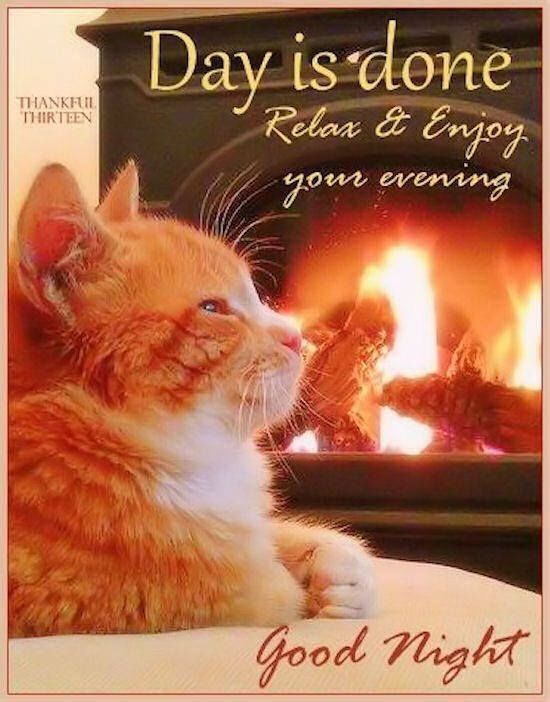 280 Good Evening ideas  good evening evening greetings good evening  greetings