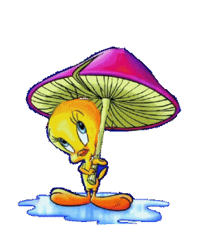 http://i1143.photobucket.com/albums/n627/thedogcody/raintweety.gif