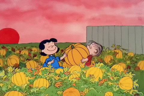 Its The Great Pumpkin Charlie Brown Halloween GIF by Peanuts - Find  Share  on GIPHY  Charlie brown wallpaper Charlie brown halloween Snoopy  wallpaper