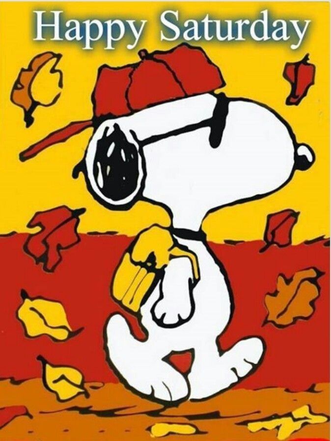 Happy Saturday Pictures Photos and Images for Facebook Tumblr Pinterest  and Twitter  Snoopy school Snoopy Snoopy cartoon
