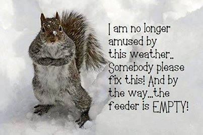 Image result for maxine cold weather