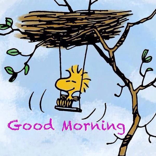 Pin by Jen Ulasiewicz Designs amp Photo on Snoopy Good Morning  Snoopy love  Woodstock peanuts Peanuts gang