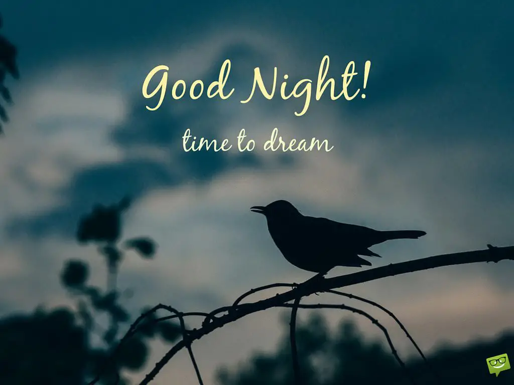 Image result for Good night images