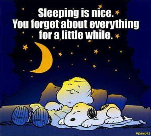 Good night Time to stop stressing and over thinking Yeah right  Snoopy  quotes Snoopy love Charlie brown and snoopy