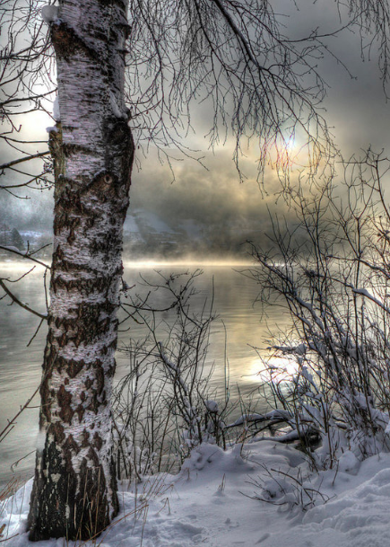 Image result for Icy morning scenes