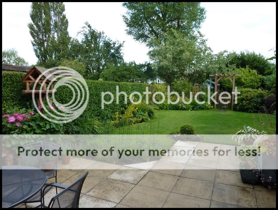 http://i232.photobucket.com/albums/ee192/thebear843/Garden/garden15.jpg