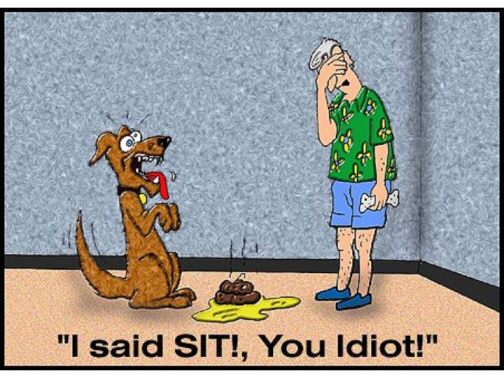 http://www.funnyfidos.com/wp-content/uploads/2009/03/funny-dog-cartoon-i-said-sit.jpg
