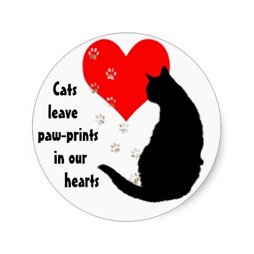 Cats leave Paw-Prints in our Hearts sticker  Zazzlecom  Paw quotes Cat  quotes Paw print