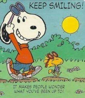 Pin by Susan Stewart  on snoopy and the gang 3   Snoopy cartoon Snoopy  love Snoopy images