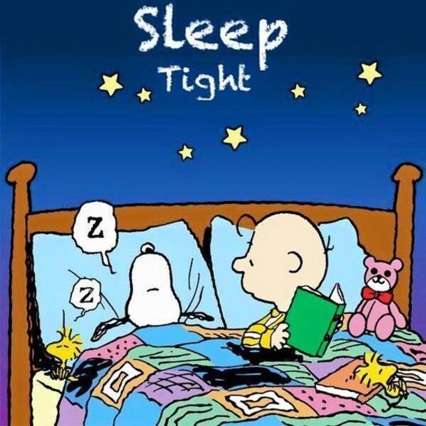 10 Lovely Good Night Quotes To End Your Day  Snoopy Snoopy love Snoopy  pictures