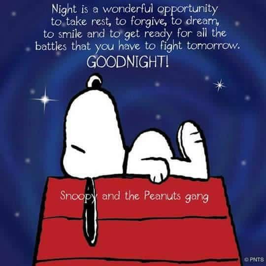 Pin by Dee Short on quotpeanutsquot  Good night funny Good night quotes Funny  good night quotes