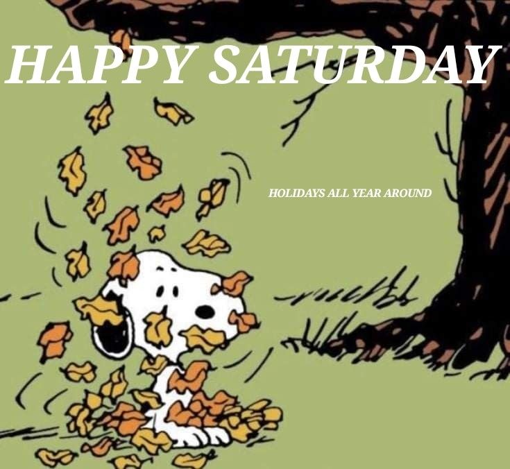 220 Happy Saturday ideas in 2023  happy saturday snoopy love snoopy  quotes