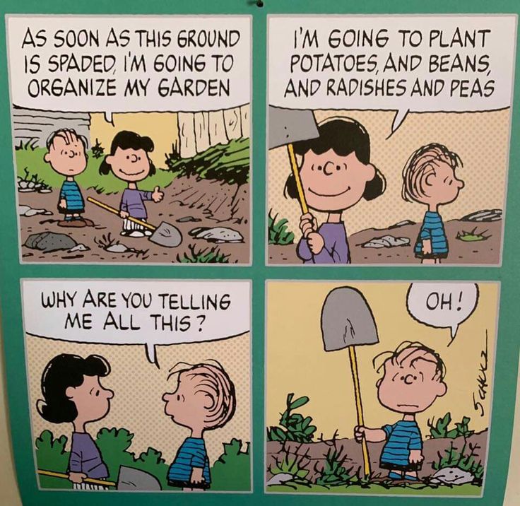 You soon learn who rules and who digs  Snoopy funny Snoopy love Charlie  brown and snoopy