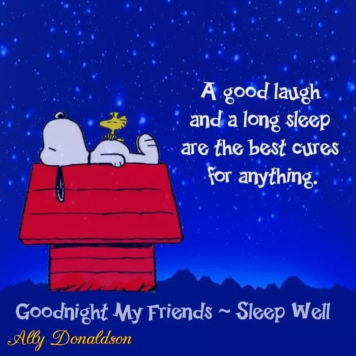 Sleep well  Good night prayer Snoopy Snoopy quotes