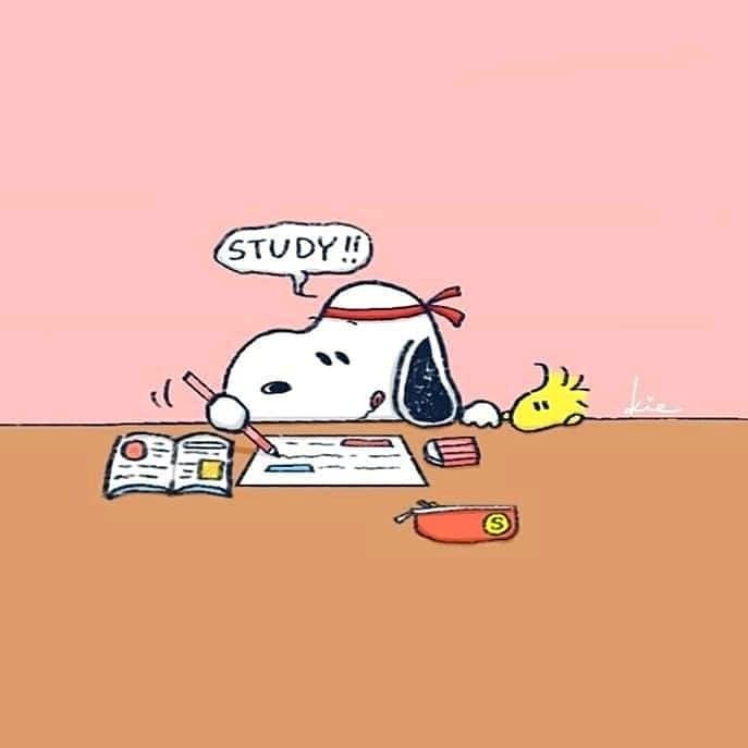 553   6  - Funny Snoopy Daily funnysnoopydaily   Instagram Study - - Please Follow   Snoopy wallpaper Snoopy  pictures Snoopy cartoon