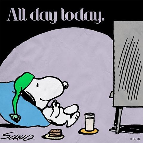 Boxing Day  Snoopy quotes Snoopy Snoopy pictures