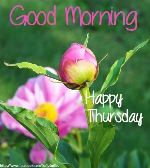 Pin on DAYS OFTHE WEEK