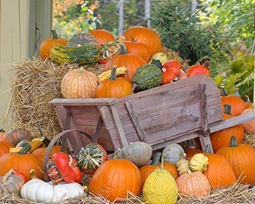 Image result for beautiful Autumn images