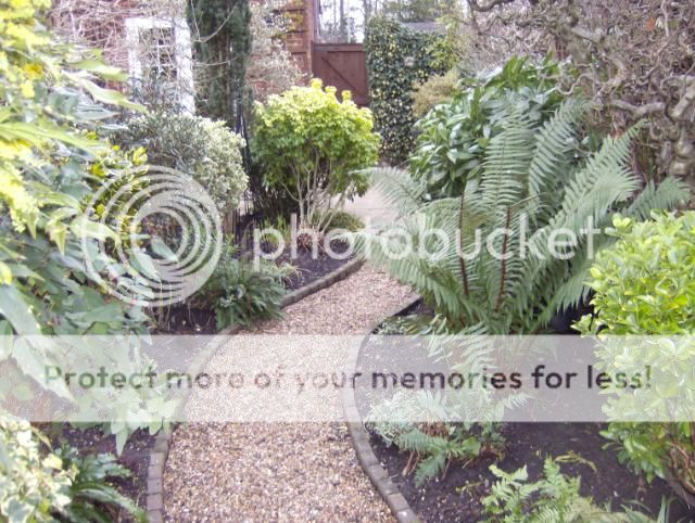 http://i1131.photobucket.com/albums/m551/lilylouise1/wintergarden018-1.jpg