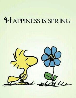 WOODSTOCK  Snoopy quotes Snoopy pictures Snoopy love