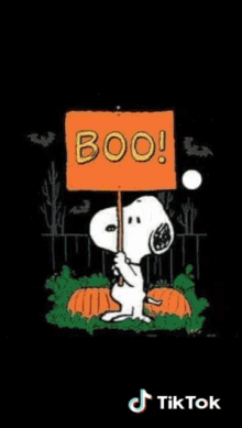 Peanuts Happy Halloween GIFs  Tenor
