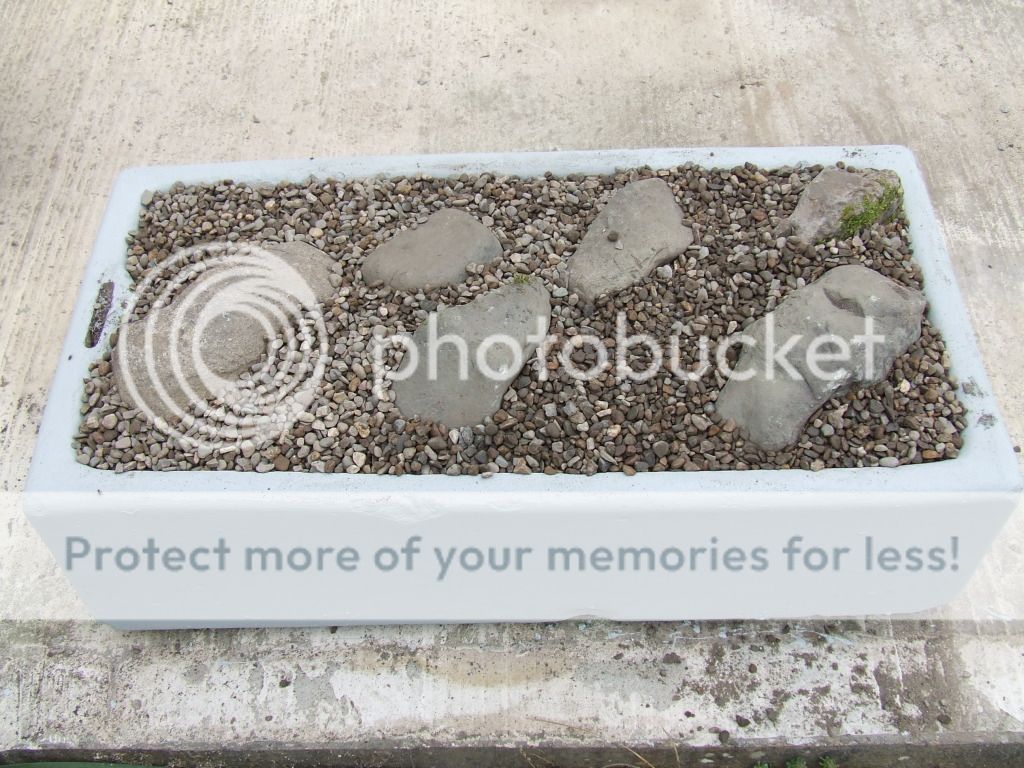 http://i703.photobucket.com/albums/ww32/Owdboggy/Sink%20garden/SouthportMay08etc029.jpg