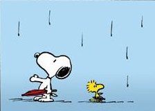 45 Snoopy Rain ideas  snoopy snoopy love charlie brown and snoopy