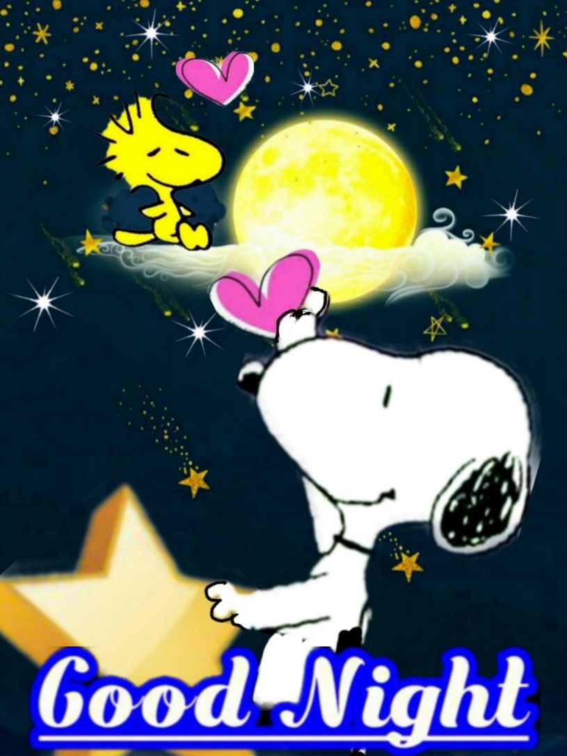 good-night  Snoopy pictures Goodnight snoopy Snoopy images