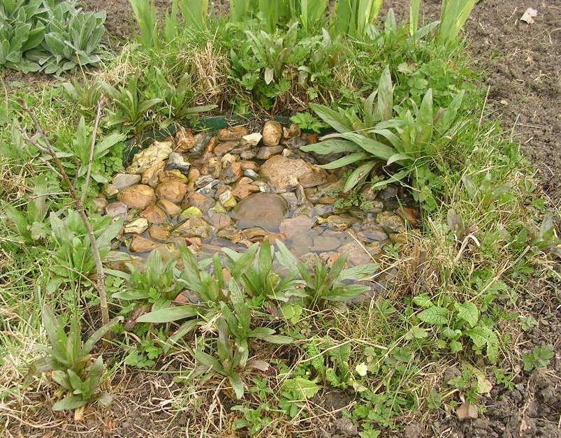 http://flightplot.files.wordpress.com/2011/03/dustbin-lid-pond.jpg