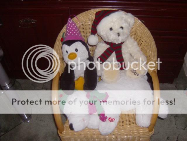 http://i50.photobucket.com/albums/f350/streptocarpus/christmas2008001.jpg