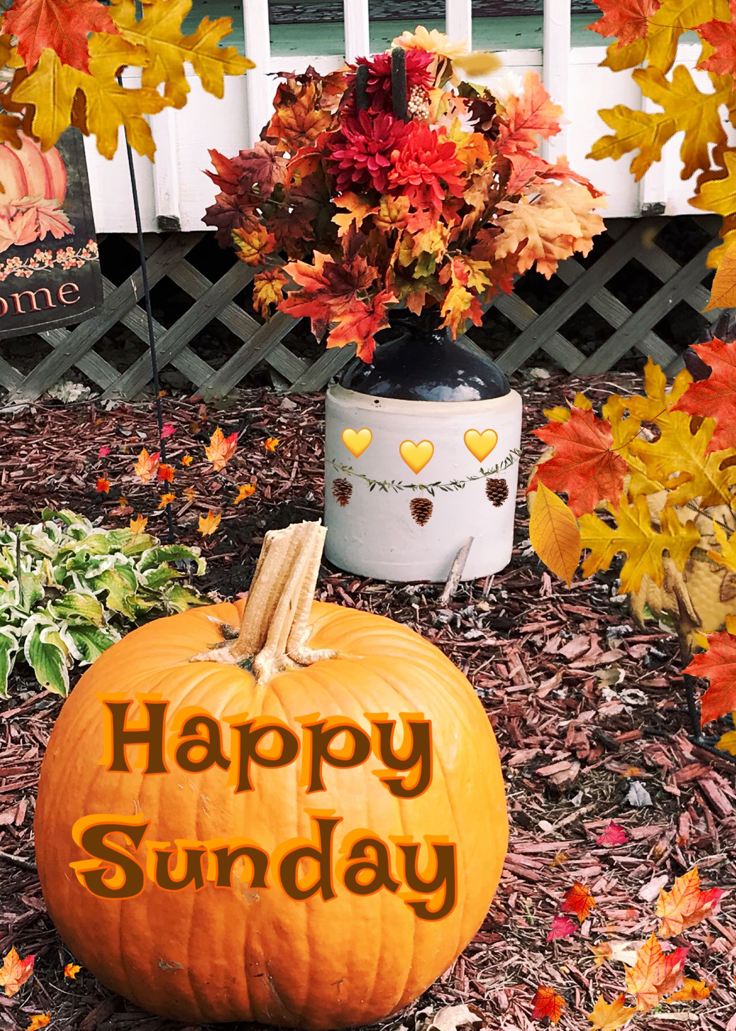 Sunday  Sunday greetings Happy sunday Weekend quotes